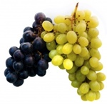 cluster of purple and green grapes